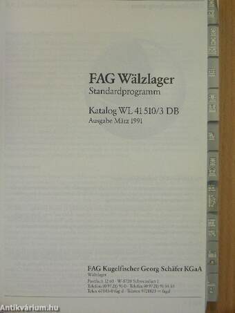 FAG Wälzlager