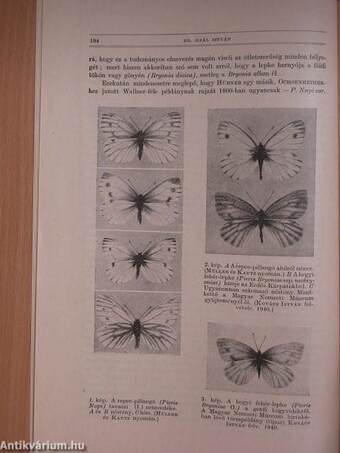 Természettudományi Közlöny 1941. január-december/Pótfüzetek a Természettudományi Közlönyhöz 1941. január-december