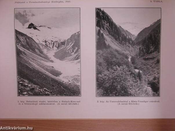 Természettudományi Közlöny 1941. január-december/Pótfüzetek a Természettudományi Közlönyhöz 1941. január-december