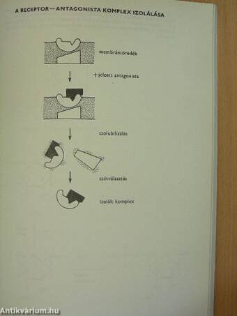 Membránbiokémia, immunbiokémia