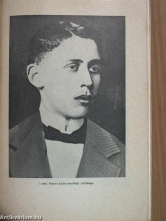 Mayer Lajos