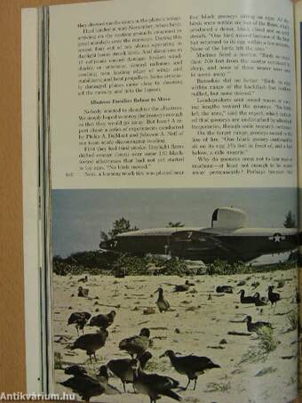 National Geographic June 1964