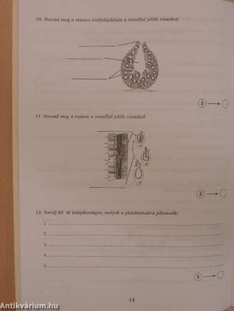 Témazáró feladatlapok a 7. osztályos biológia tananyaghoz