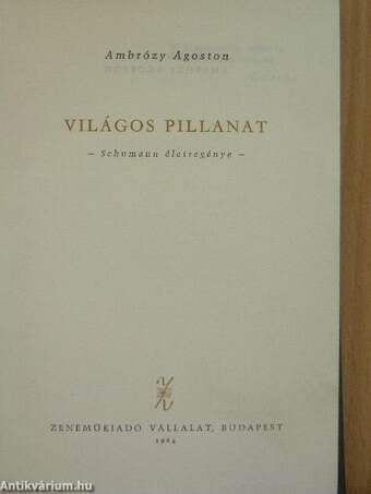 Világos pillanat