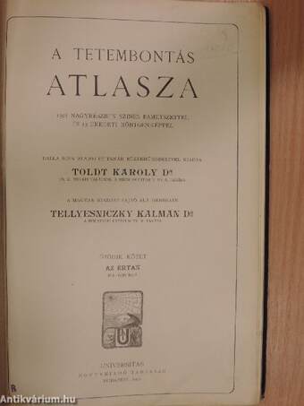 Toldt - A tetembontás atlasza V.