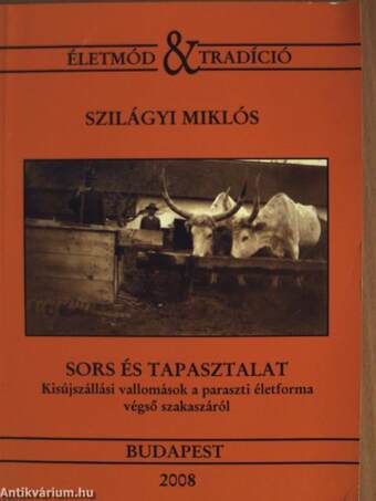 Sors és tapasztalat