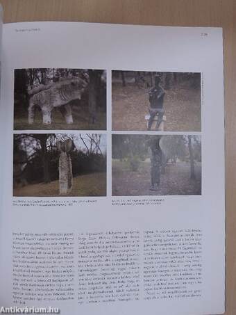 Artmagazin 2011/6
