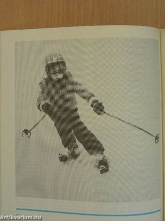 Alpiner skisport