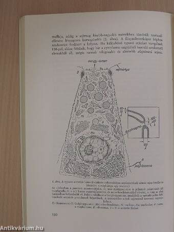 Az orvostudomány aktuális problémái 1969/2.