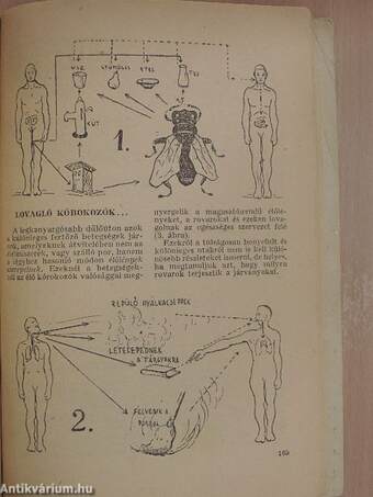 Kincses Kalendárium 1953