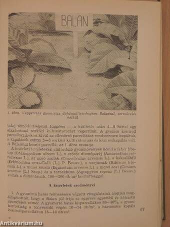 A Mezőgazdasági és Élelmezésügyi Minisztérium 1969. évi főbb kutatási eredményei