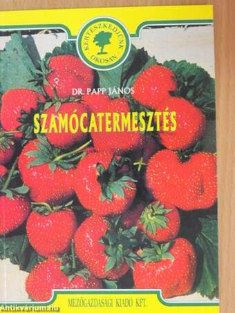 Szamócatermesztés