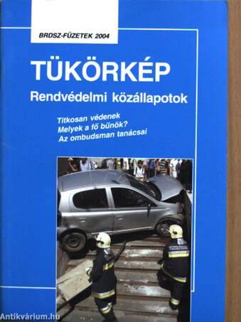 Tükörkép