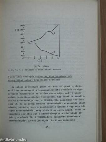 Az IQ-vita/Az örökléselvűek argumentációja