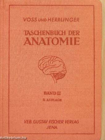 Taschenbuch der Anatomie III. (töredék)