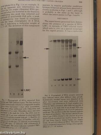 Virology 1976-1977. January-December/1978. (nem teljes évfolyam) I-IX.