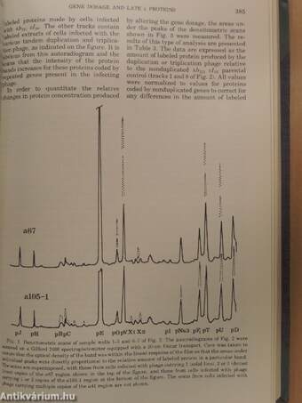 Virology 1976-1977. January-December/1978. (nem teljes évfolyam) I-IX.