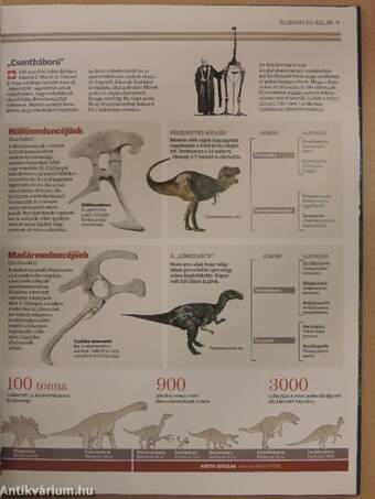 Természettudományi Enciklopédia 9.