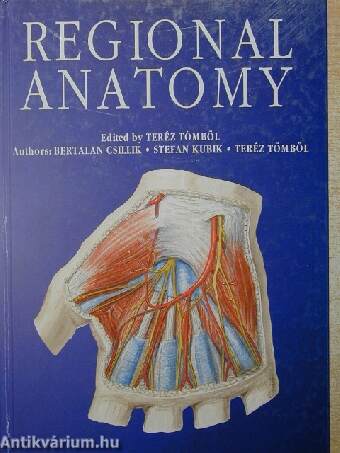 Regional anatomy