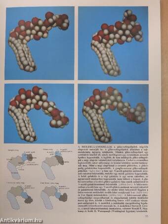 Tudomány 1986. (nem teljes évfolyam)