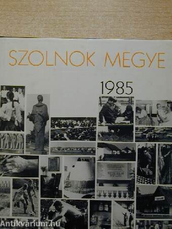 Szolnok megye 1985