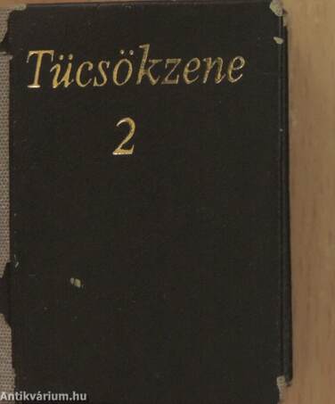 Tücsökzene 2. (minikönyv) (töredék)