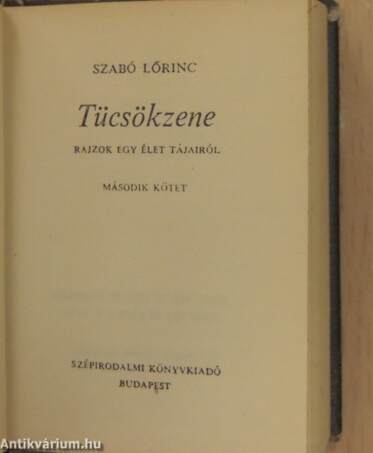 Tücsökzene 2. (minikönyv) (töredék)