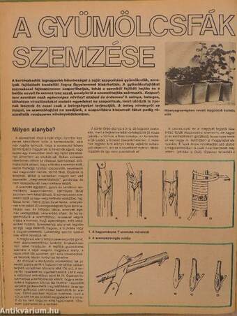 Kertbarát Magazin 1986-87/1-3.