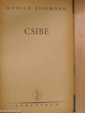 Csibe