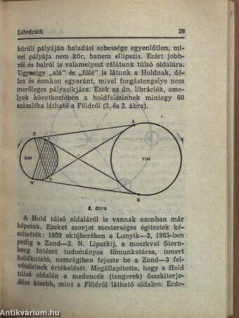 A Hold ostroma