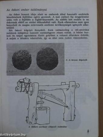 Az ember őstörténete