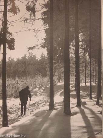 Zwischen Fichtelberg und Hiddensee