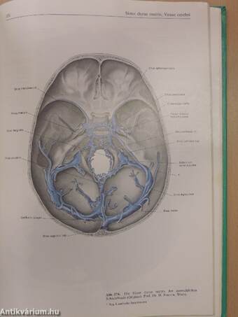 Sobotta - Atlas der Anatomie des Menschen I-II.