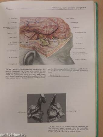 Sobotta - Atlas der Anatomie des Menschen I-II.