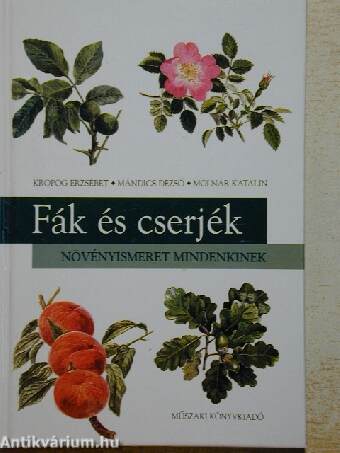 Fák és cserjék