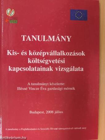 Kis- és középvállalkozások költségvetési kapcsolatainak vizsgálata