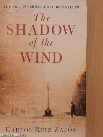 The shadow of the wind