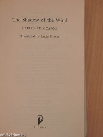 The shadow of the wind