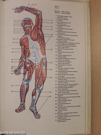 Russian-English Medical Dictionary Phrase-book