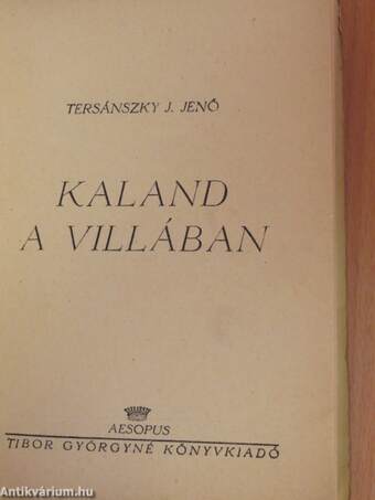 Kaland a villában