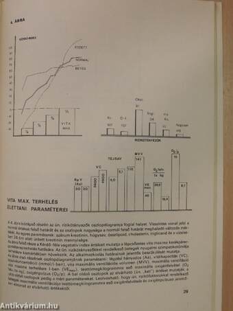 Sport és rehabilitáció