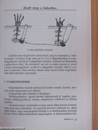 Ősztől őszig a kiskertben