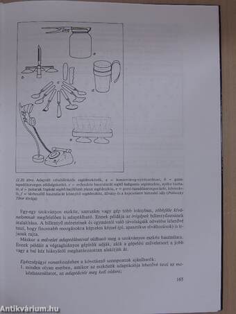 Gyógypedagógiai iskola-egészségtan