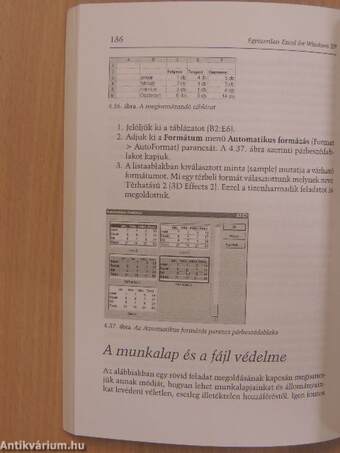 Egyszerűen Excel 2002 for Windows XP