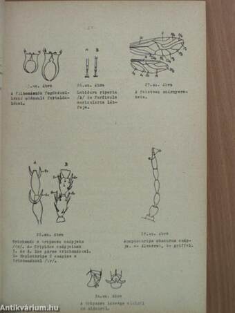 Növényvédelmi állattani gyakorlatok A.