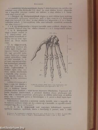 Az ember anatomiája és szövettana I.