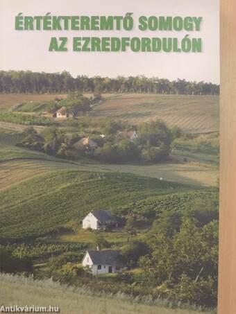 Értékteremtő Somogy az ezredfordulón