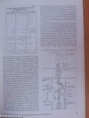 Fizikai Szemle 1996. október