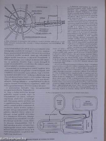 Fizikai Szemle 2001. július