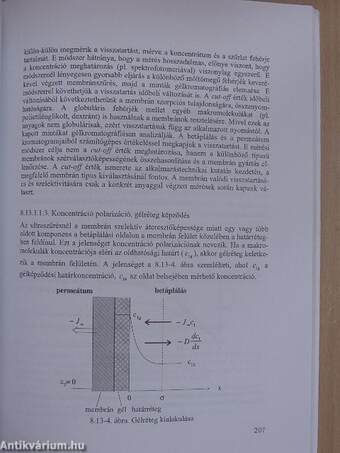 Vegyipari félüzemi praktikum